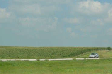 Nebraska Cornfield